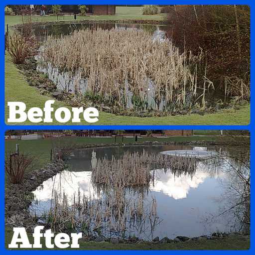 Emergent plant removal Specialists in pond and lake management