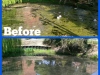 Algae&WeedB&As_(2)
