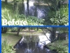 Algae&WeedB&As_(36)