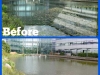 Algae&WeedB&As_(9)