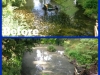 algae_and_weed_(5).jpg