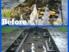 Silt_removal_and_pond_clean_B&As_(2)