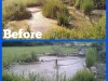 Silt_removal_and_pond_clean_B&As_(7)