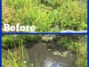 pond_clean.jpg