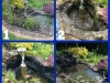 pond_clean_2.jpg