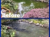 pondclean_(2).jpg