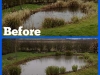 OverhaulB&A