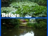 OverhaulB&A_(7)