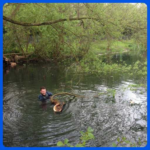 Manual clearances Specialists in pond and lake management